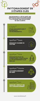 illustration-phytomanagement.